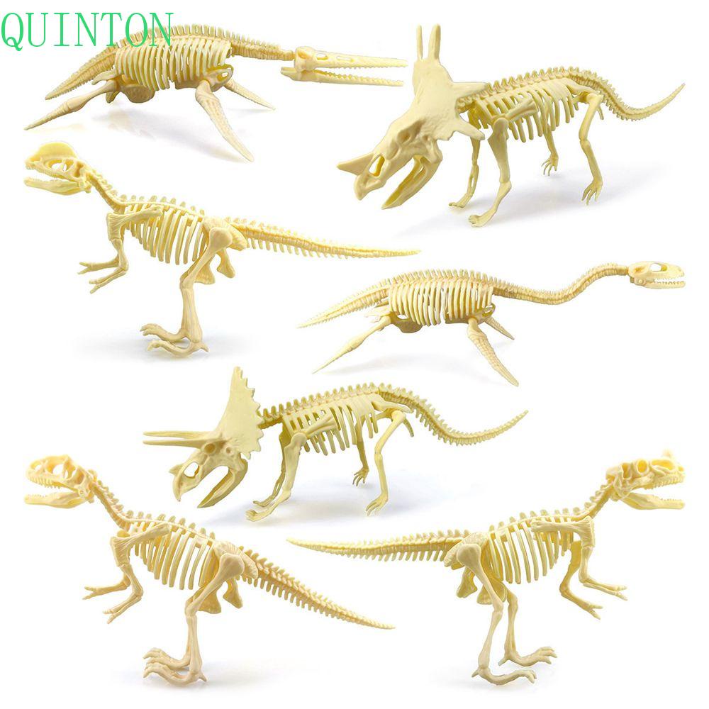 Kit Gali Dinosaurus QUINTON Usia 3-12 Tahun 1SET Gali Set Stegosaurus Model Kerangka Dinosaurus Angka Dino Mainan Edukasi Alat Penggali Kit Mainan Gali Arkeologi