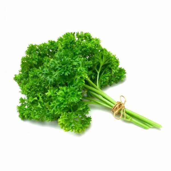 

FCW Jakbar - Daun Parsley Segar 100 Gram