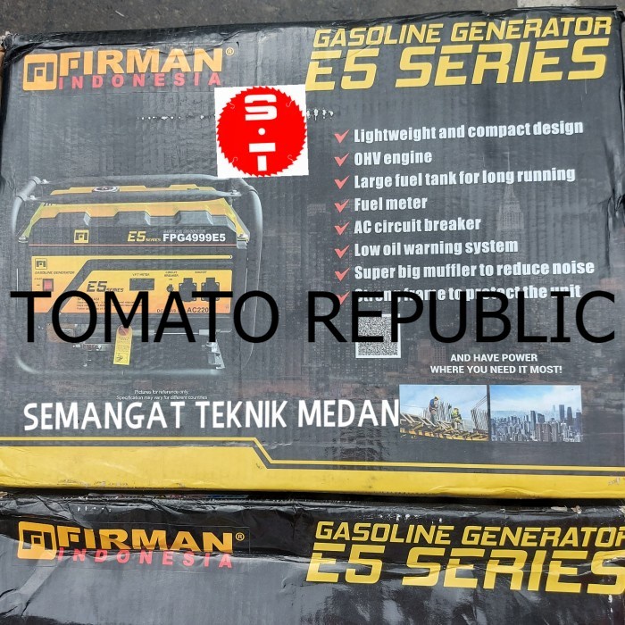 Murah FPG4999EA GENSET GENERATOR LISTRIK BENSIN 3000 WATT FIRMAN FPG 4999 EA IKN451