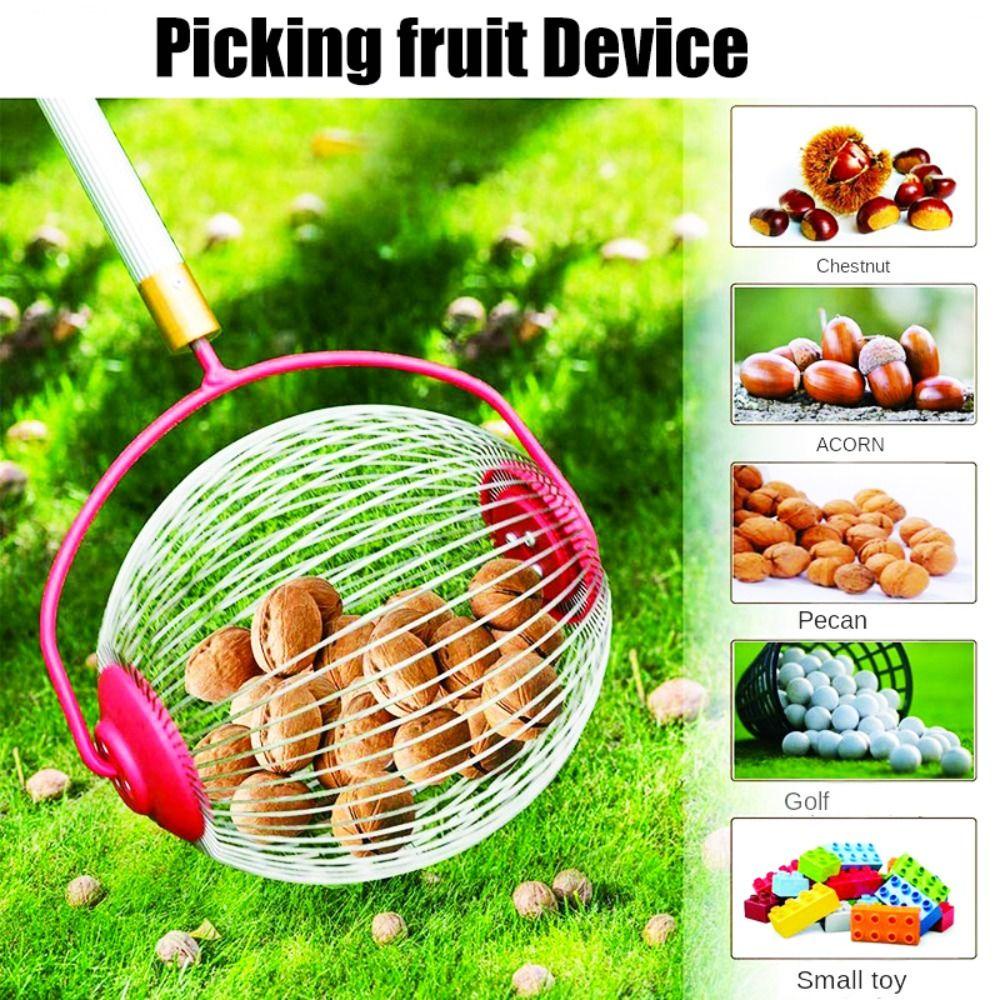 LANFY Ball Collector Chestnut Acorn Multifungsi Retractable Picker Collector Chestnut Collector Outdoor Alat Manual Nut Kumpulkan Rolling Fruit Picker Ball Picker