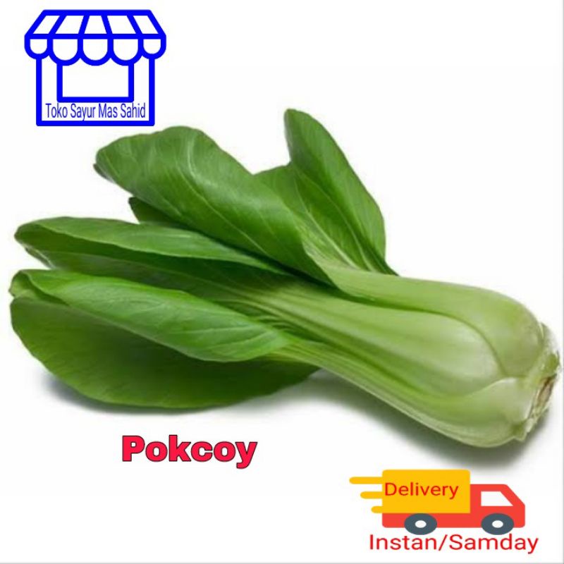 

INSTAN Sayur Pokcoy Segar 1 Kg