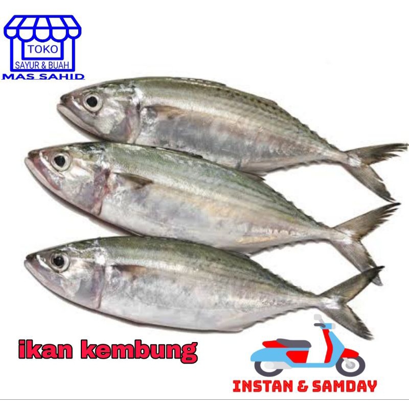 

INSTAN Ikan Kembung Banjar/Layang