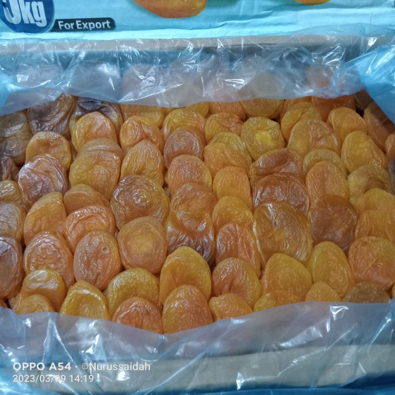 

buah apricot kering