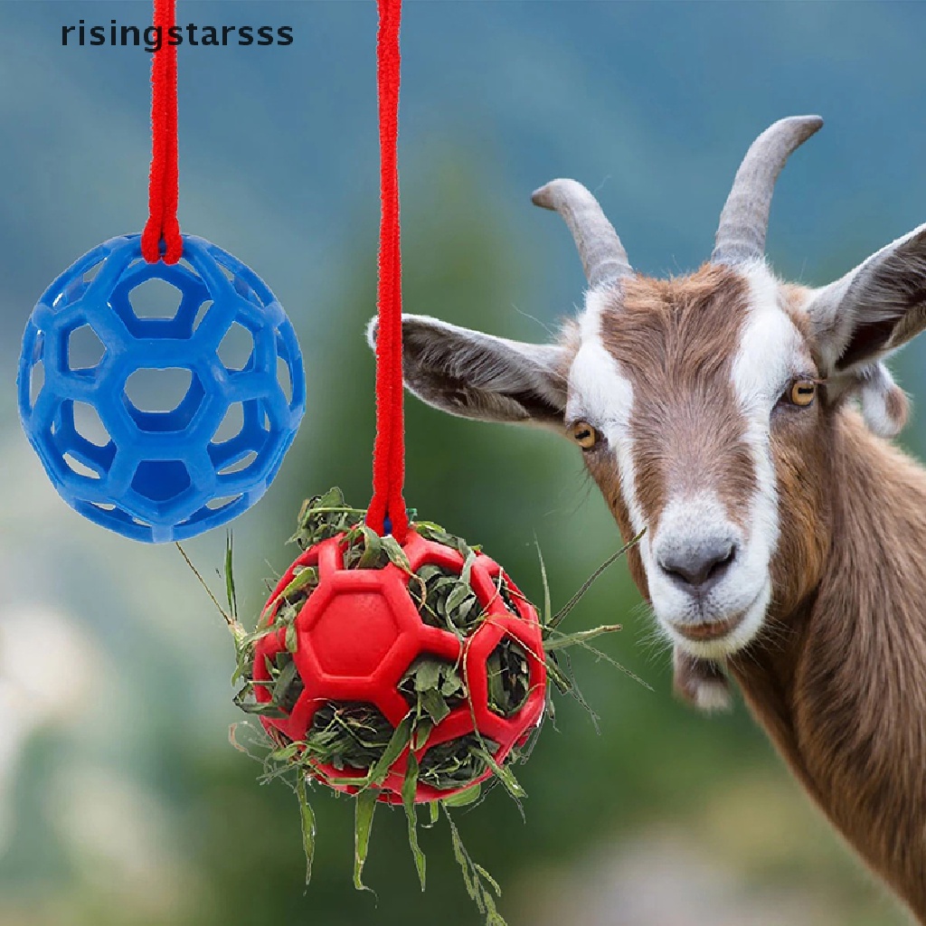 Rsid Span-new Horse Treat Ball Hay Toy Ball Mainan Makan Gantung Untuk Jelly Kambing Kuda