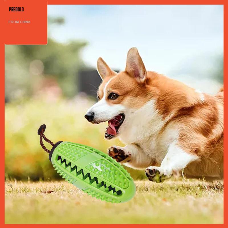 [Predolo] Pet Treat Ball Rubber Food Dispenser IQ Training Mainan Kunyah Anjing Tahan Gigit