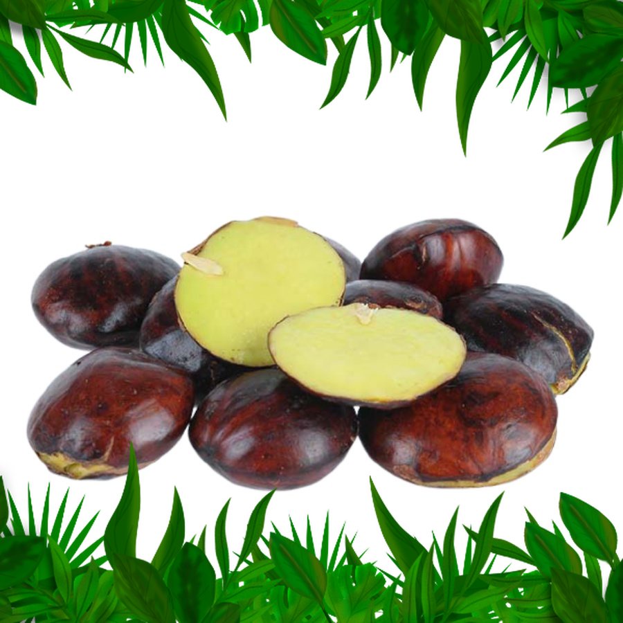 

Sayur Fresh Nuatara - Jengkol 250gr