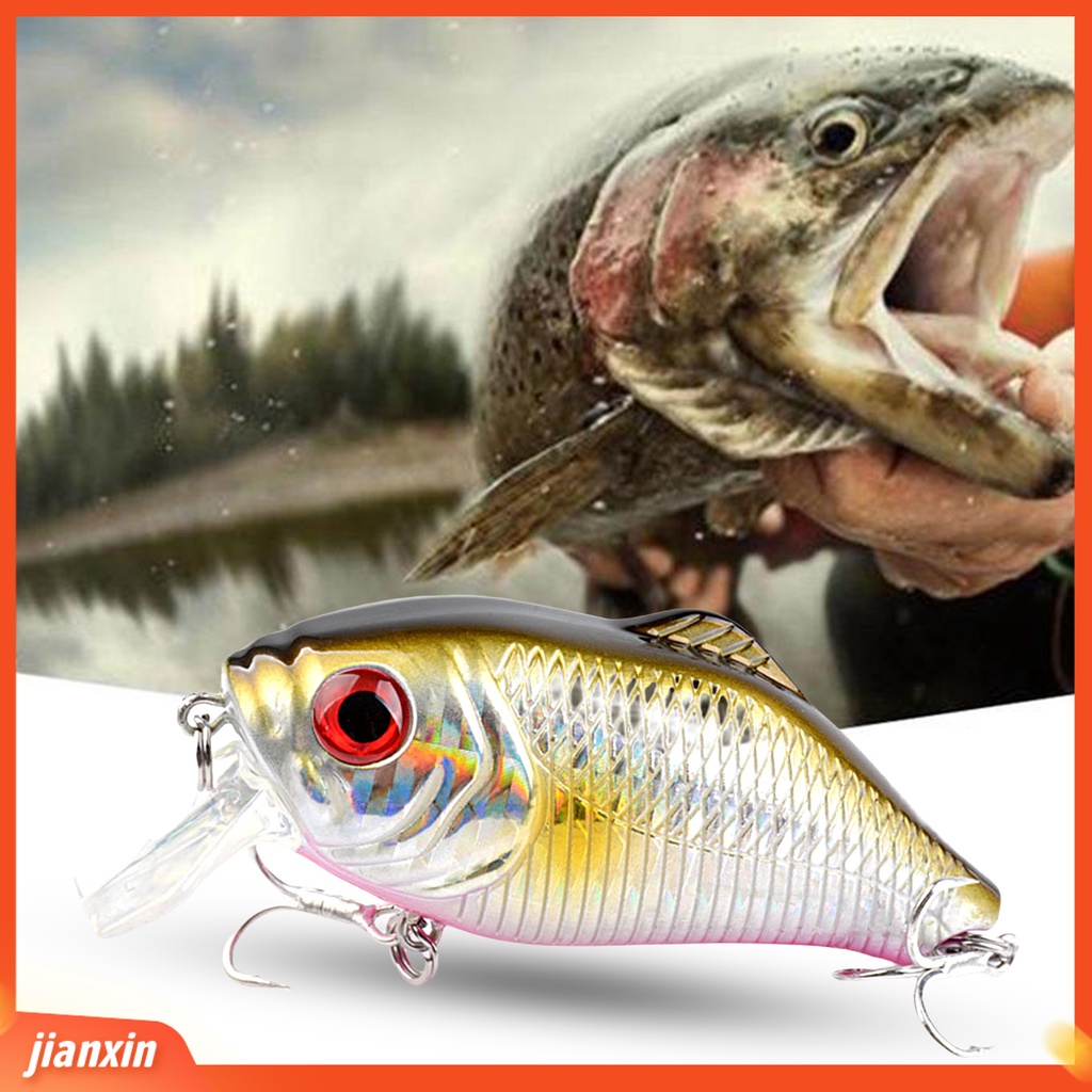 (In Stock) 7.8cm /16g Umpan Pancing Mudah Dipasang Tahan Korosi Banyak Digunakan Compact 3D Bionic Eye Fishing Hook Perlengkapan Memancing