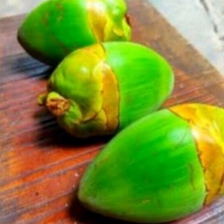 

Beluluk kelapa kelapa kecil tembuluk organik 200gr