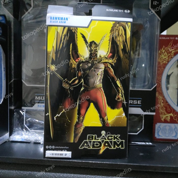 dc multiverse black Adam hawkman