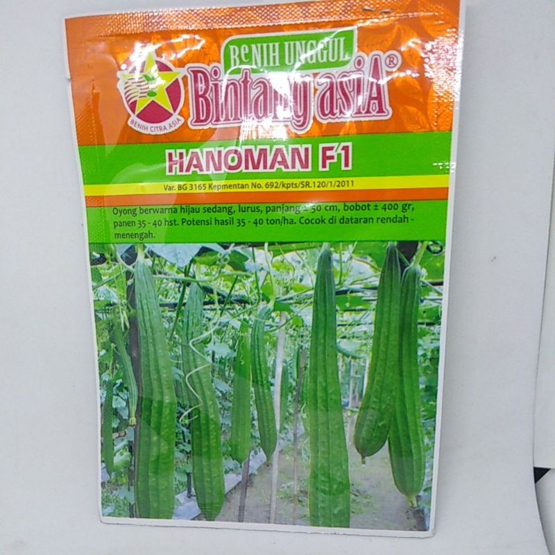 Benih oyong gambas Hanoman bintang asia 10gr