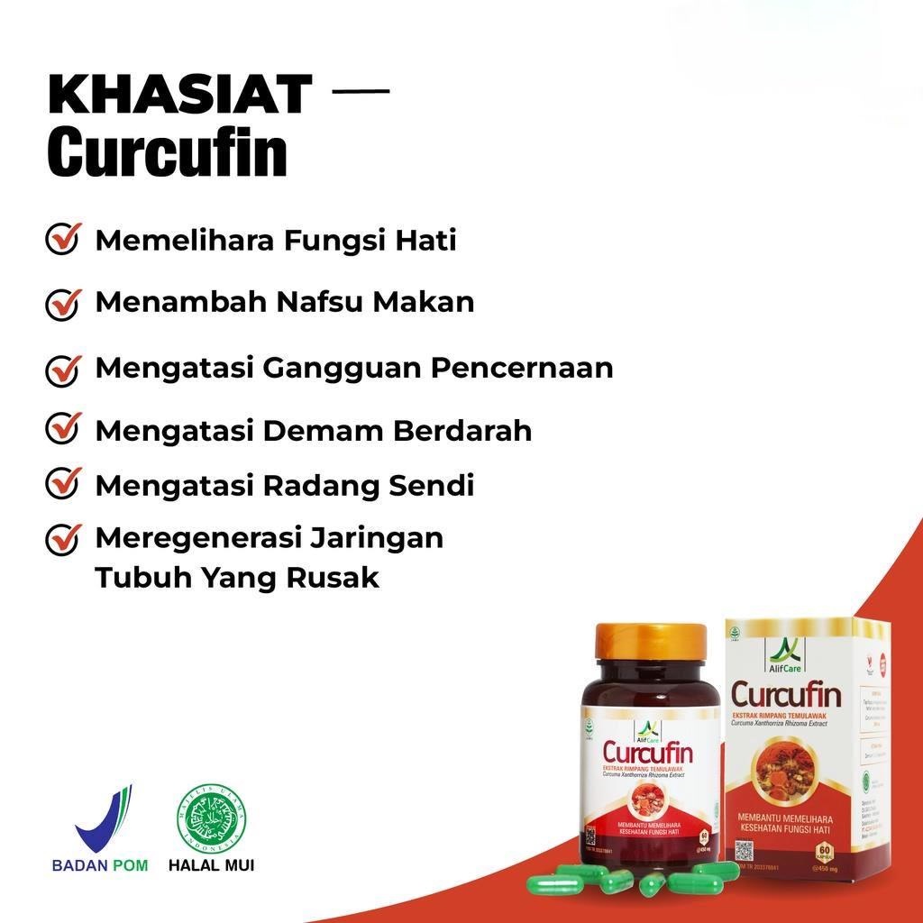 Kapsul Curcufin Obat Herbal Ekstrak Rimpang Temulawak Membantu Memelihara Fungsi Hati Atasi Hepatitis Gangguan Fungsi Hati