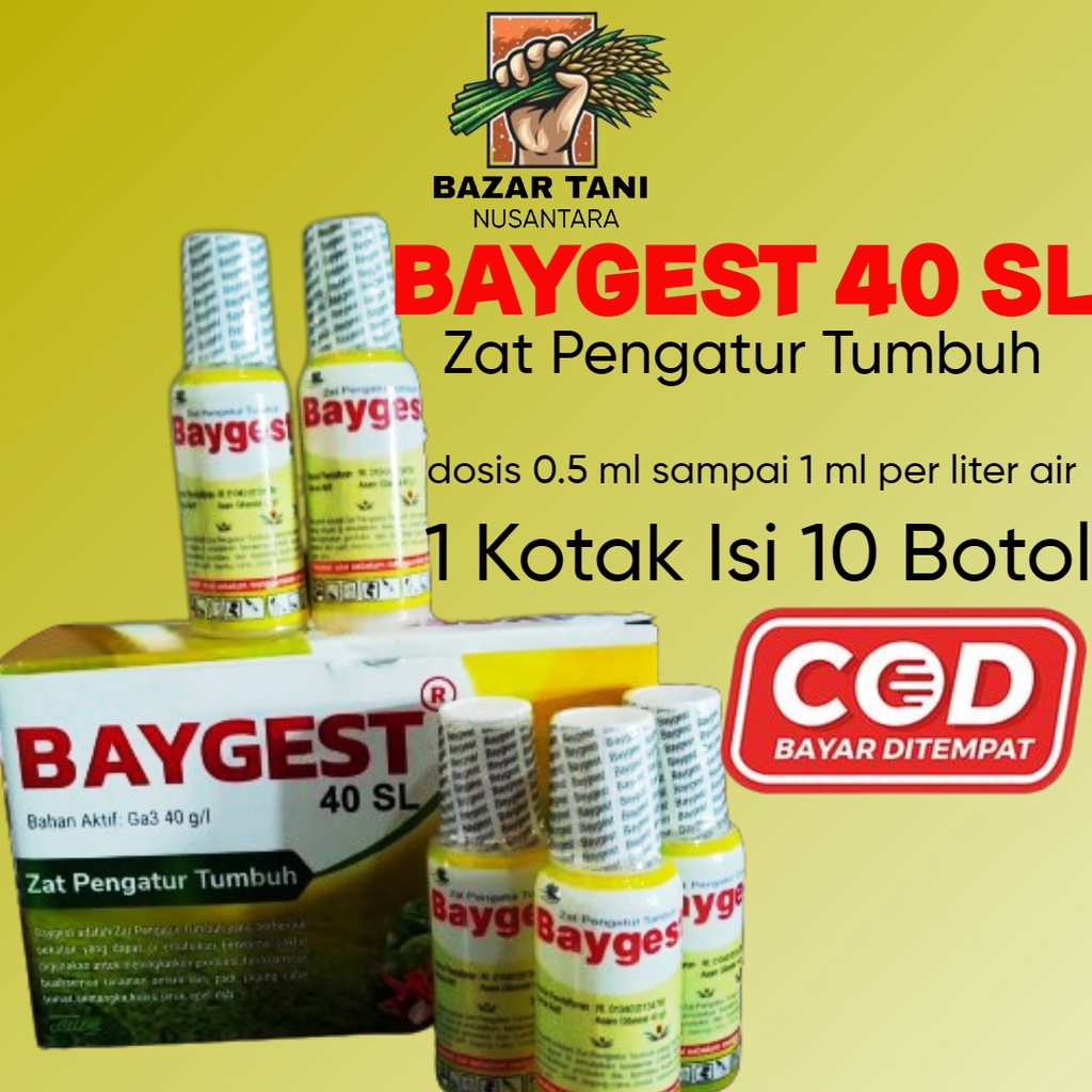 Pembesar Buah ZPT Baygest 40 SL Asam Giberelat 40 g/l kemasan 15 ml