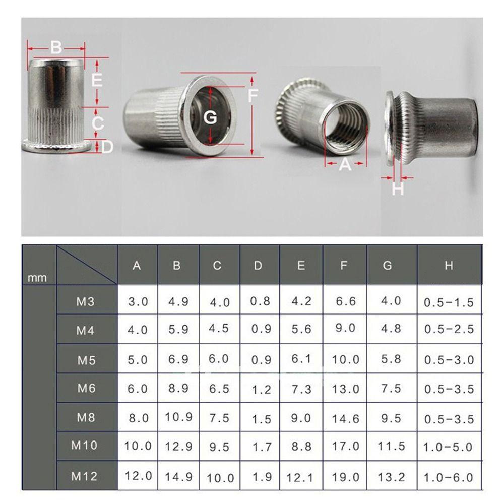 Ly 10pcs Stainless Steel Rivnut Mur Rivet Tahan Lama M3 M4 M5 M6 M8 M10 M12 Rivet Ulir