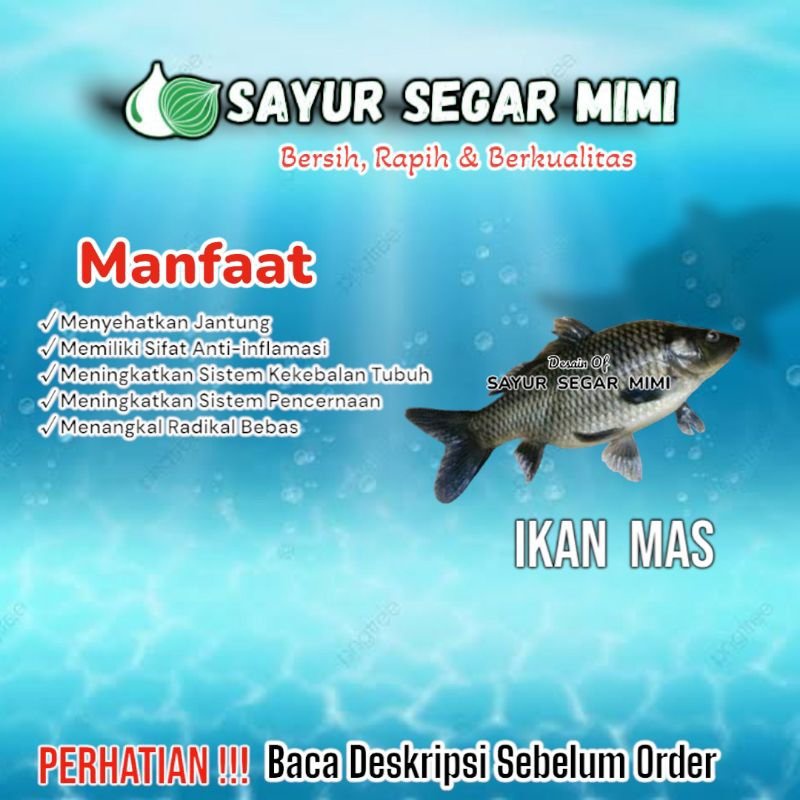 

Ikan Mas 1Kg - Sᴀʏᴜʀ Sᴇɢᴀʀ ♏ɪᴍɪ