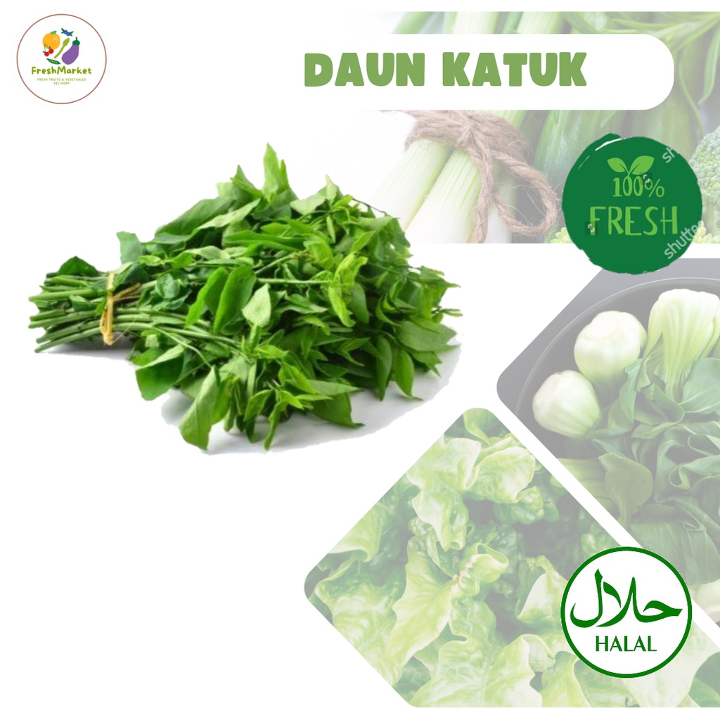 

Daun Katuk Segar Sayur 1 Ikat Freshmarketlampung