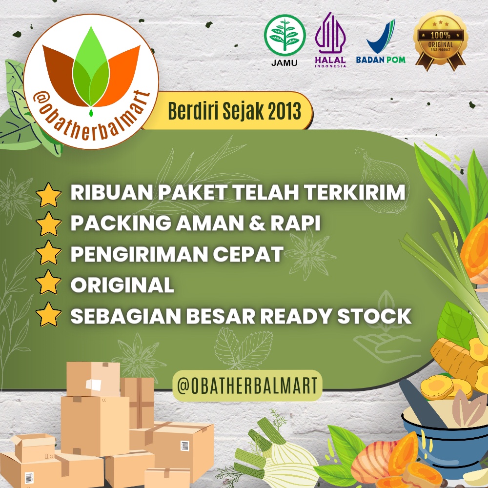 PROMO 100 PIL JAMU SUBUR BOROBUDUR, OBAT KESUBURAN WANITA AGAR CEPAT HAMIL PROGRAM PROMIL ALAMI