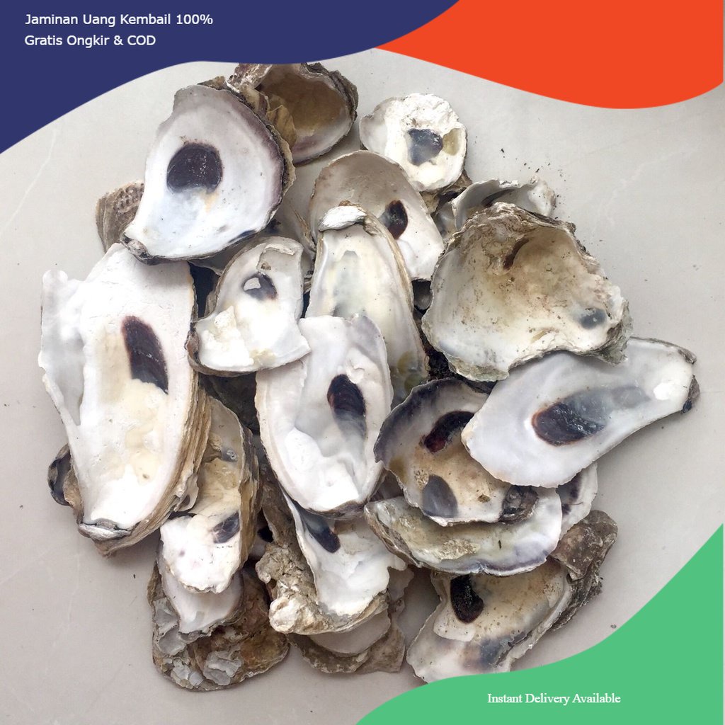 media filter kulit kerang, media filter oister, media filter oyster, filter kulit kerang, filter oys