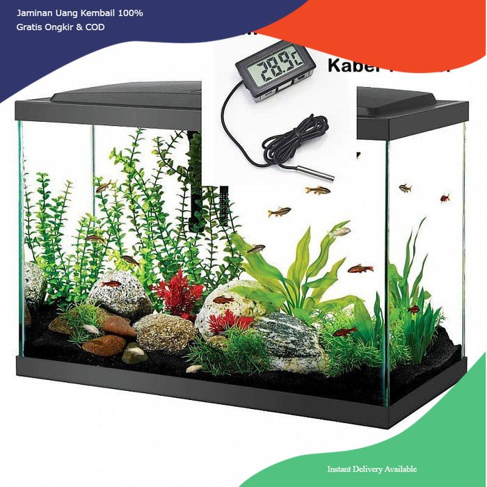 termometer aquarium, termometer aquascape, termometer digital aquascape, termometer digital aquarium