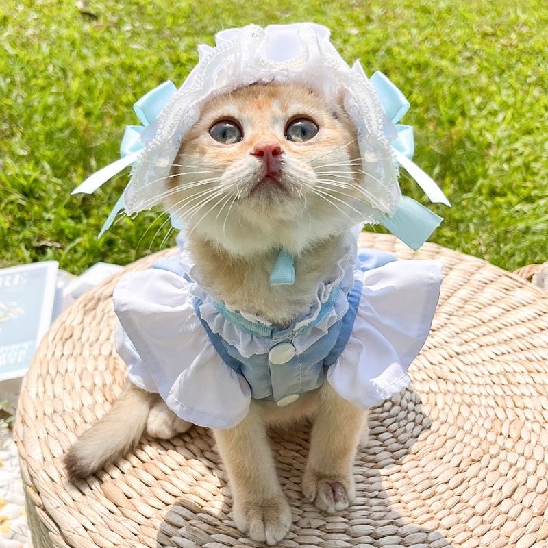 Dog Cute pembantu Dress S-XXL Pet Cat Spring dan Summer pakaian menyediakan pakaian sabuk traksi berjalan rok
