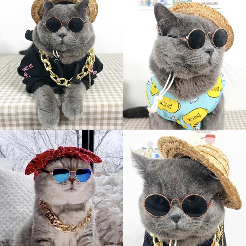 AVVET  Kaca Mata Lucu Anjing Anabul Hitam Fashion Hewan Anti UV Lucu Aksesoris High Quality Animal Sunglasses Kaca Mata Murah Kacamata Kucing Peliharaan 6577