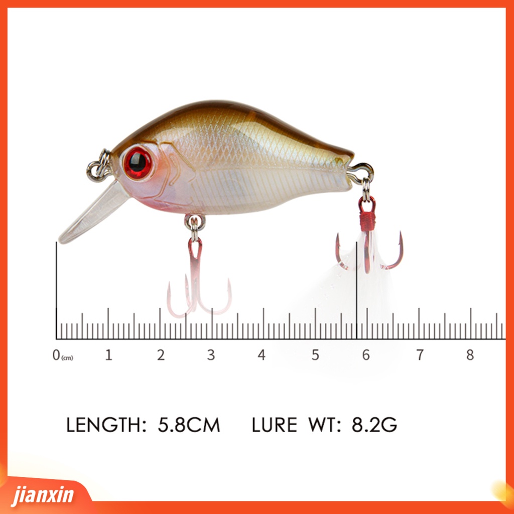 (In Stock) 5.8cm /8.2g 3D Mata Ikan Memancing Umpan Lebih Kuat Treble Hooks Plastik Menyelam Chubby Mini Buatan Umpan Angling Aksesoris