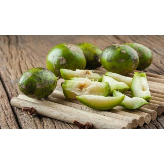 Bibit Tanaman Buah Kedondong - dondong Okulasi Cepat Berbuah