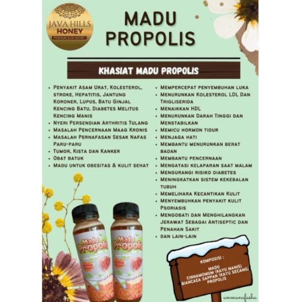 

MADU PROPOLIS JAVA HILLS HONEY 350 GRAM