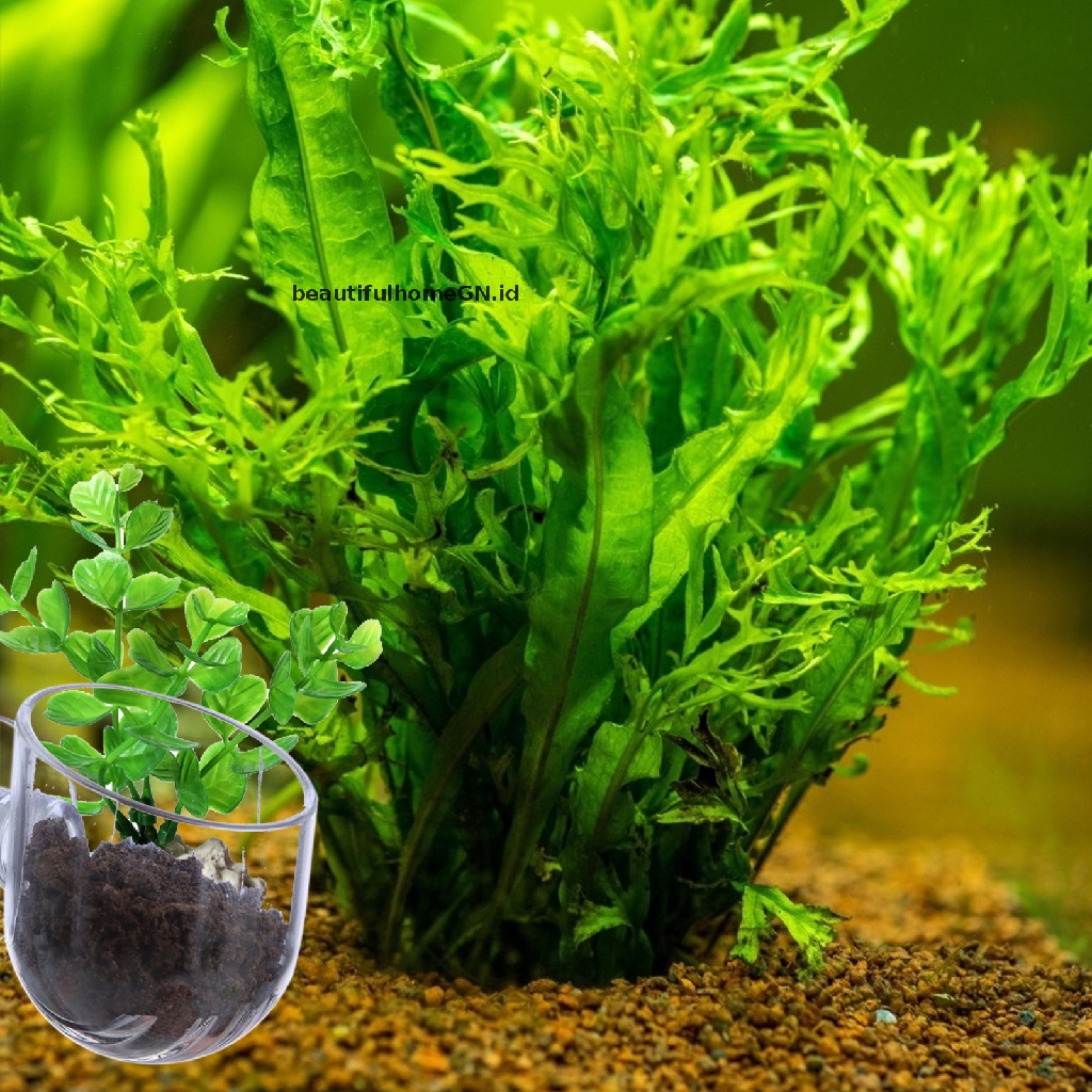 {Cantik} Gelas Air Akrilik Dengan suction cup, Tempat Makan Cacing, Hiasan Tangki Ikan~