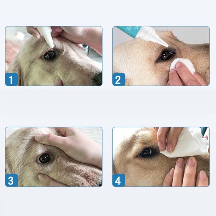 pet eye drops obat tetes mata kucing anjing luka katarak dog eye drop infeksi mata