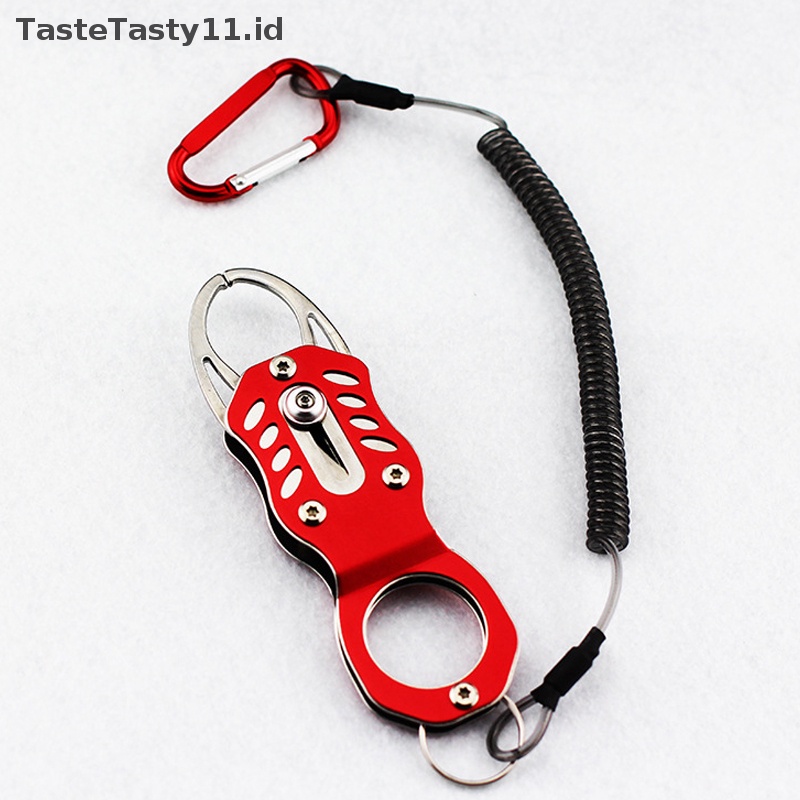 Tastetasty Alat Kontrol Ikan Mini stainless steel lure hook pick hook Perangkat Ikan.