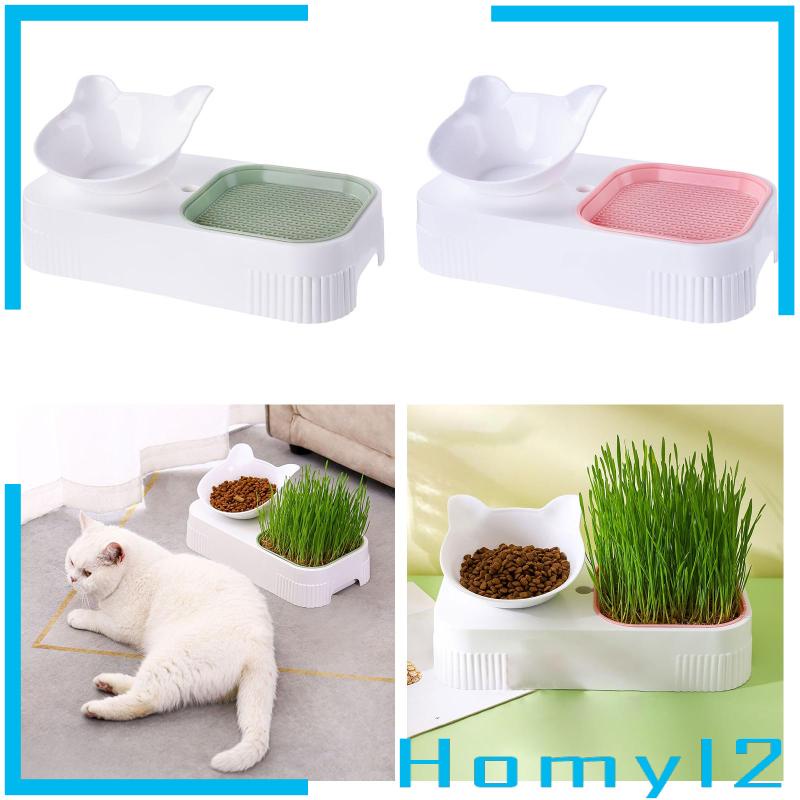 [HOMYL2] Mangkok Kucing Kotak Tray Semai Rumput Nursery Cat Plant Cat Feeder