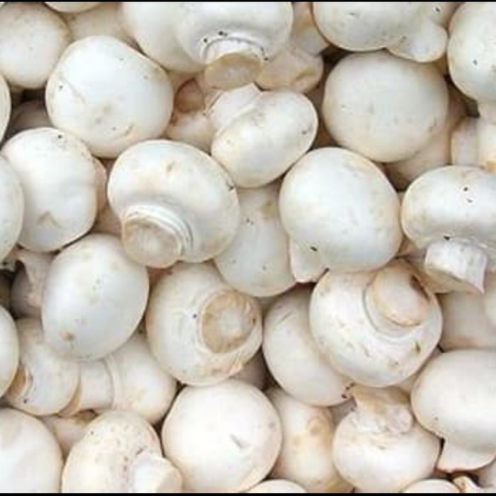 

FCW Jakbar - Jamur Kancing / Jamur Champignon 100 Gram