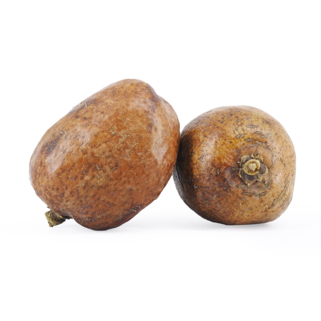 

Buah Zuriat Mesir / Doum Original 1 Kg Harga Grosir FREE Testpack Original