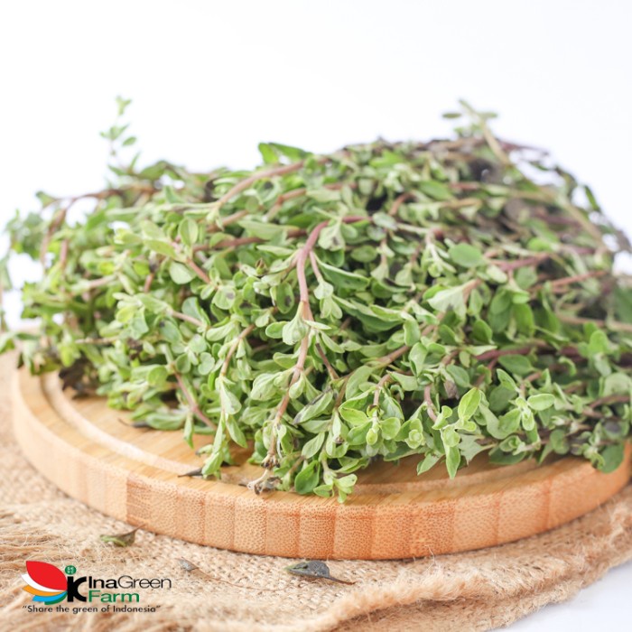 

Inagreen Farm Bandung Marjoram Herbs Fresh 50 Gram