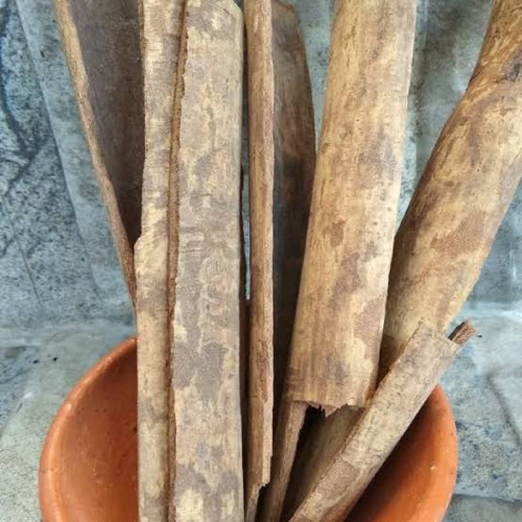 

Kayu Sintok Kering Jamu Herbal Tradisional Diare Encok Sariawan Kram