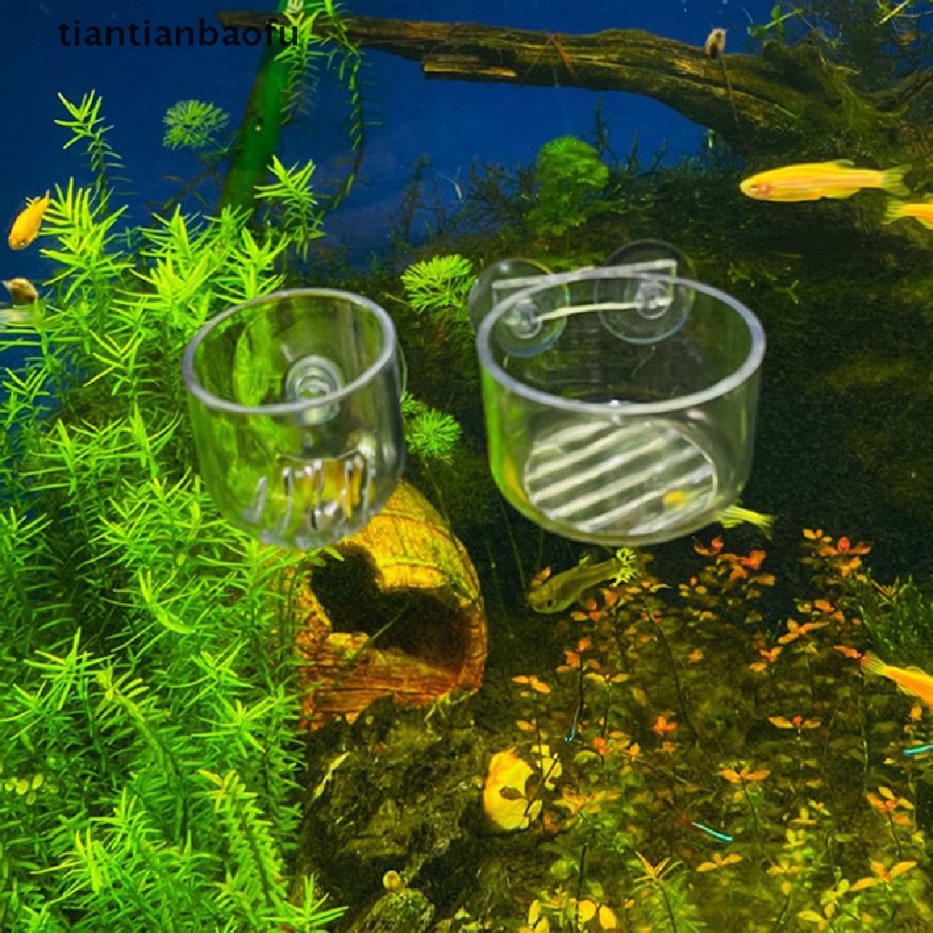 [tiantianbaofu] 1pc Aquarium Dekorasi Gantung Ikan Mini Kristal Kaca Pot Cylinder Cup Butik