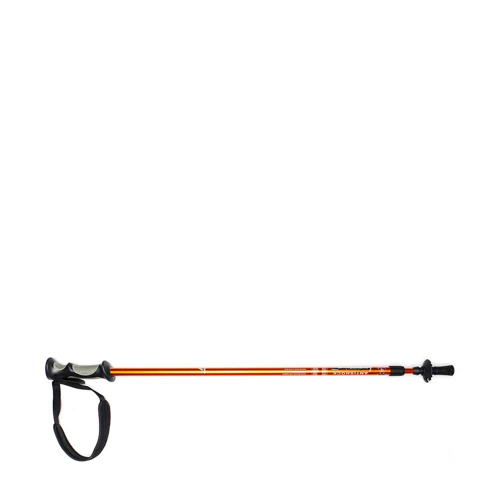 EIGER TREKKING POLE 2 SECTION