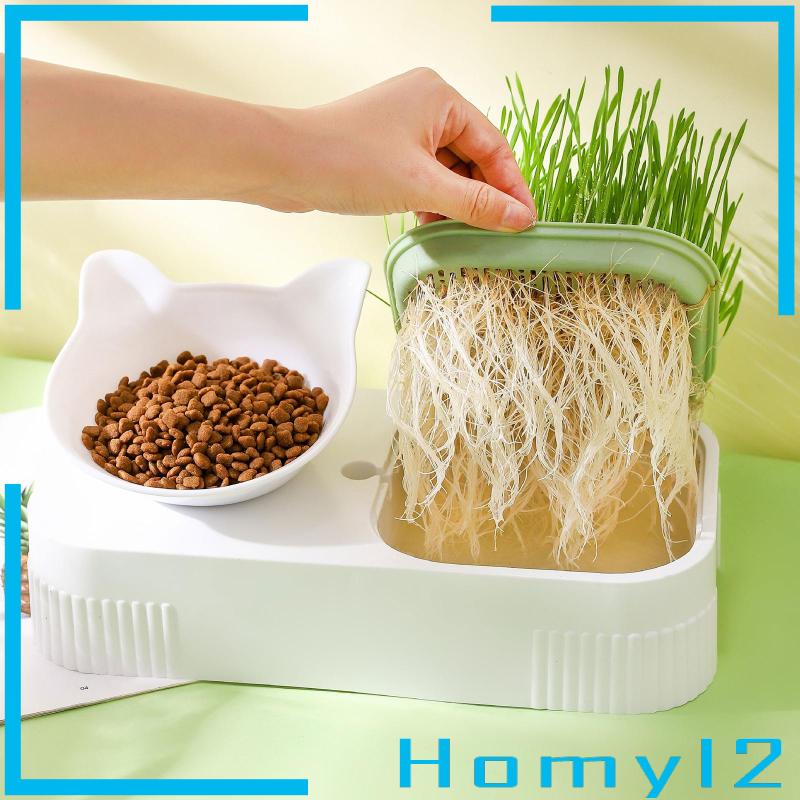 [HOMYL2] Mangkok Kucing Kotak Tray Semai Rumput Nursery Cat Plant Cat Feeder