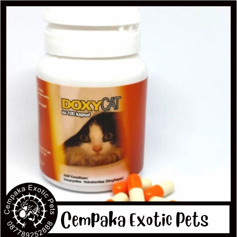 Doxycat Doxy Cat Im Organic - Obat Flu Kucing Doxy Cat Flu Ecer Per kapsul