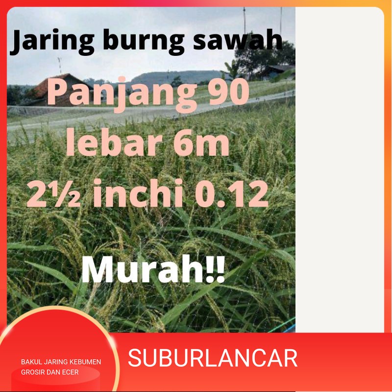 JARING BURUNG JARING PADI JARING EMPRIT JARING SAWAH 6x 90 METER JEBAKAN PERANGKAP BURUNG JARING