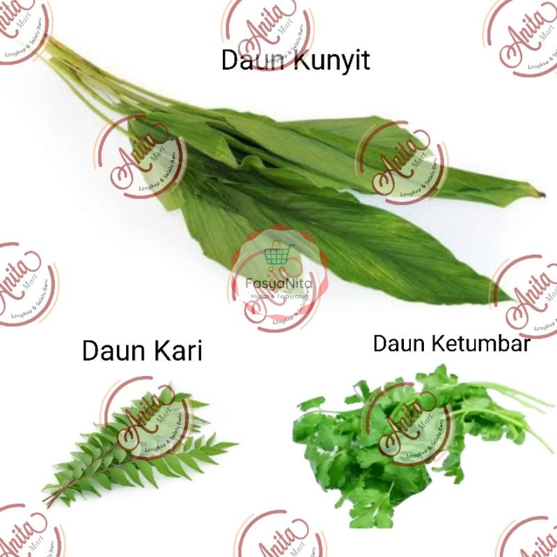 

DAUN BUMBU | Kunyit Kari Ketumbar Rempah Fresh Segar