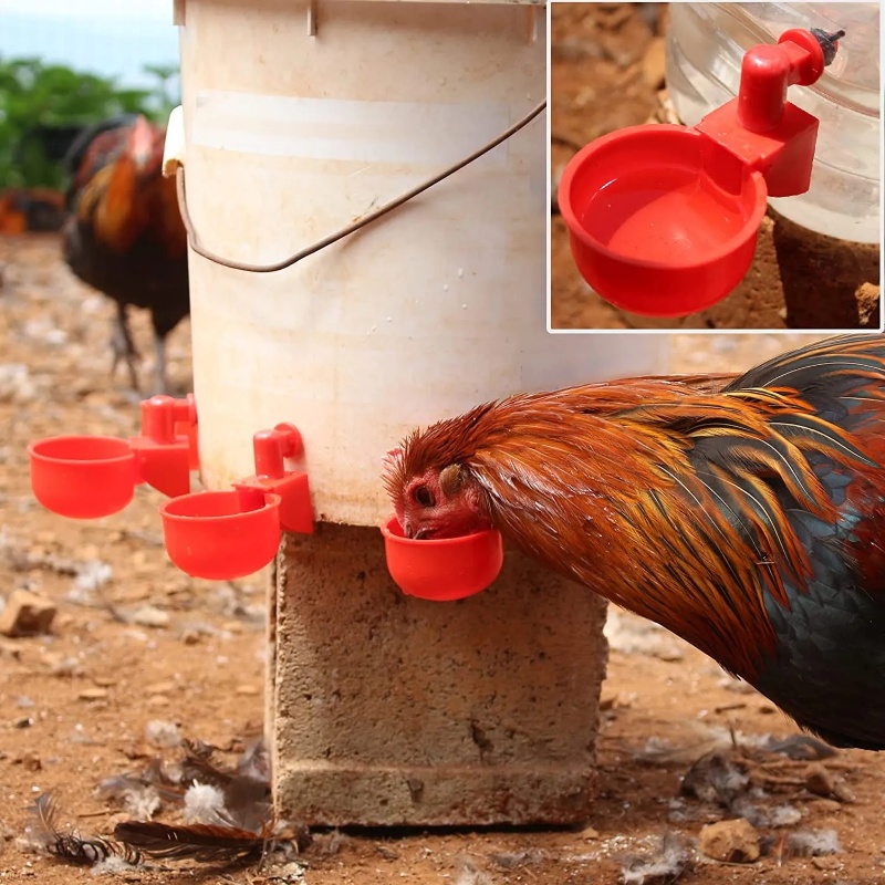 Cangkir Minum Hewan Peliharaan Anti Bocor/Mangkok Makan Ayam Puyuh Merpati/Dispenser Air Otomatis Universal/Tempat Makan Unggas Kapasitas Besar