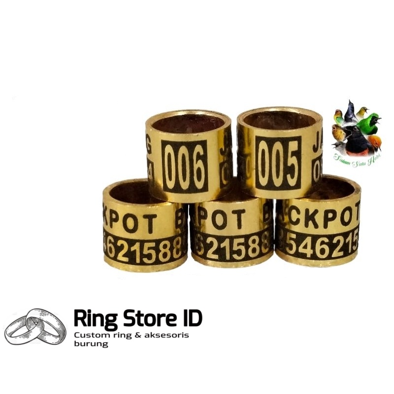RING BURUNG MERPATI MURAI PUTER