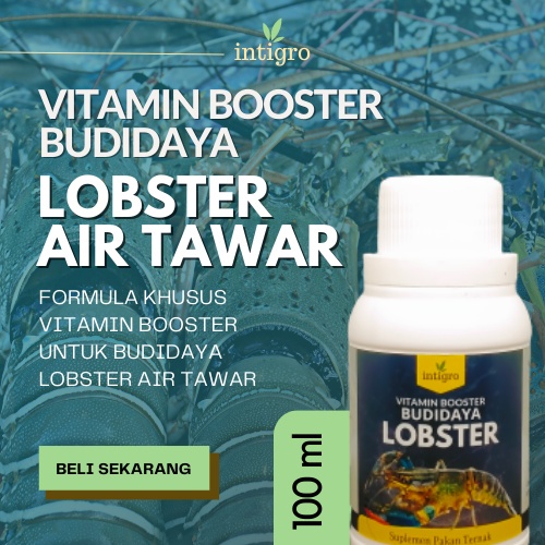 *MBS* Vitamin Lobster Air Tawar Agar Cepat Besar / Suplemen Lobster Air Tawar Ternak Lobster Organik