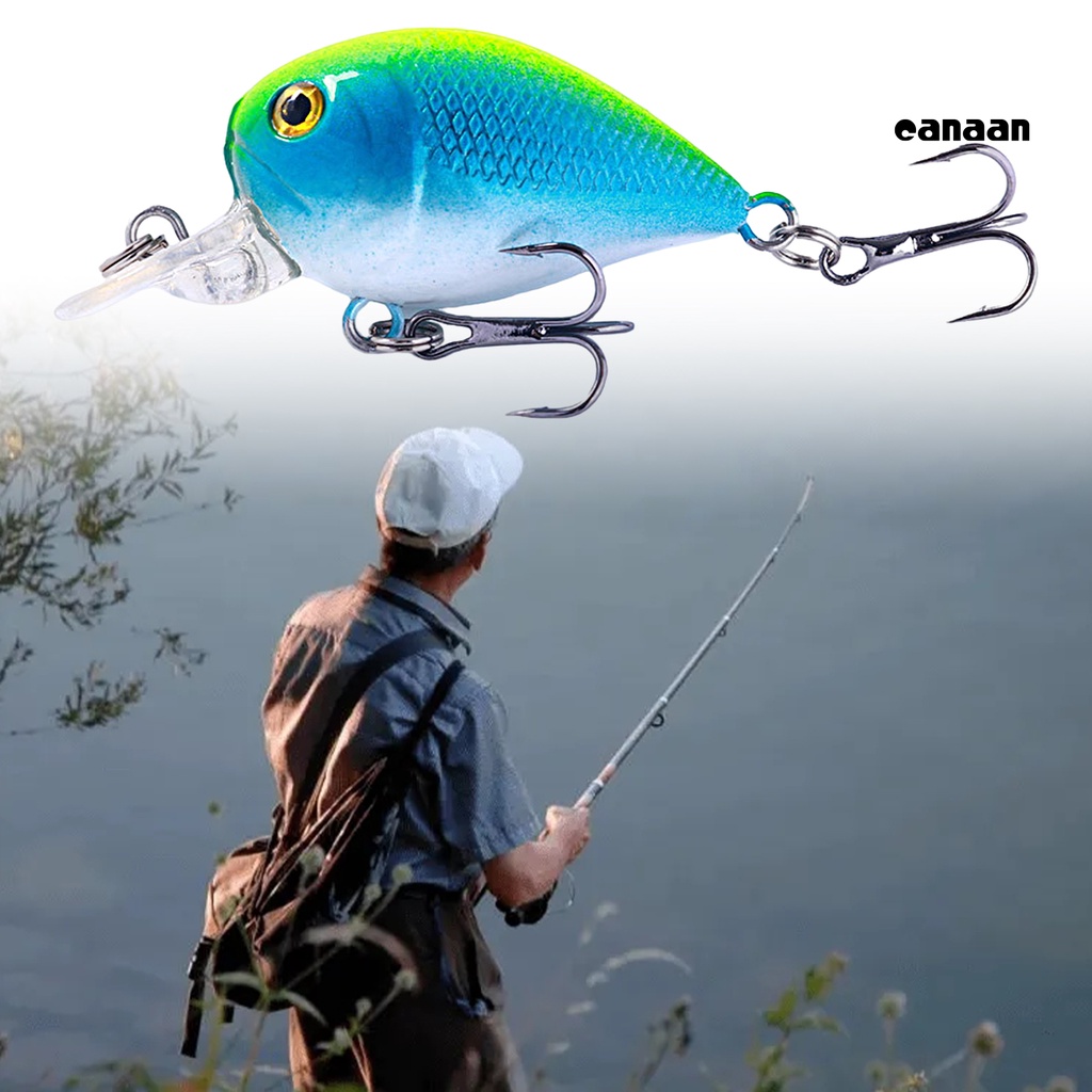 Cnn-5cm/5.5g 7CM/13.5G Umpan Bionik Desain Simulasi Tekstur Halus Kait Tajam 3D Realistis Fisheye Warna Cerah Memancing Ringan Bionic Engkol Little Fatty Lure Untuk Memancing