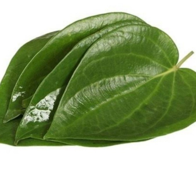 

Daun sirih hijau segar 500 gram