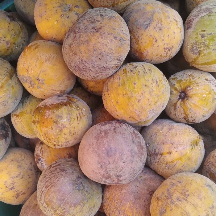 

buah kecapi sattulu makassar pasar online makassar