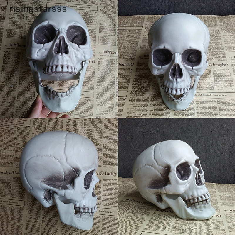 Rsid Span-new Halloween Artificial Skull Head Model Tengkorak Tulang Mengerikan Horror Tengkorak Ornamen Jelly