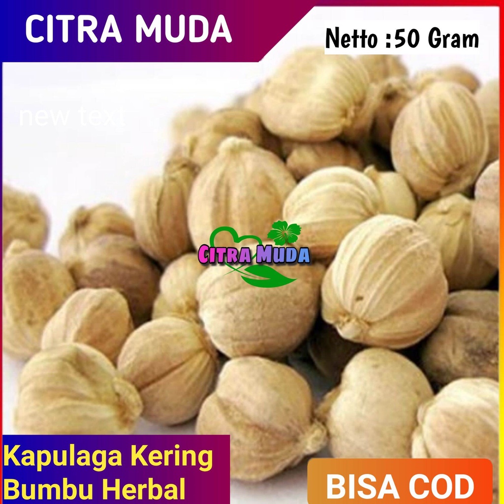 

Bumbu Rempah Kapulaga kering premium 50 Gram