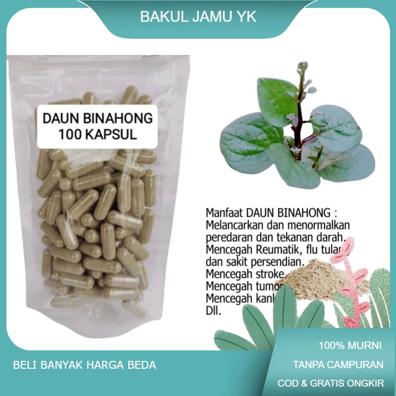 

Binahong isi 100 kapsul untuk kolesterol flu tulang